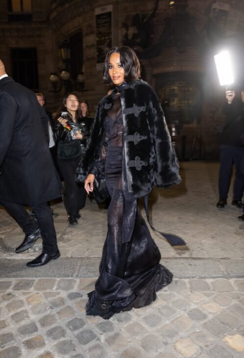 black sheer Dundas gown