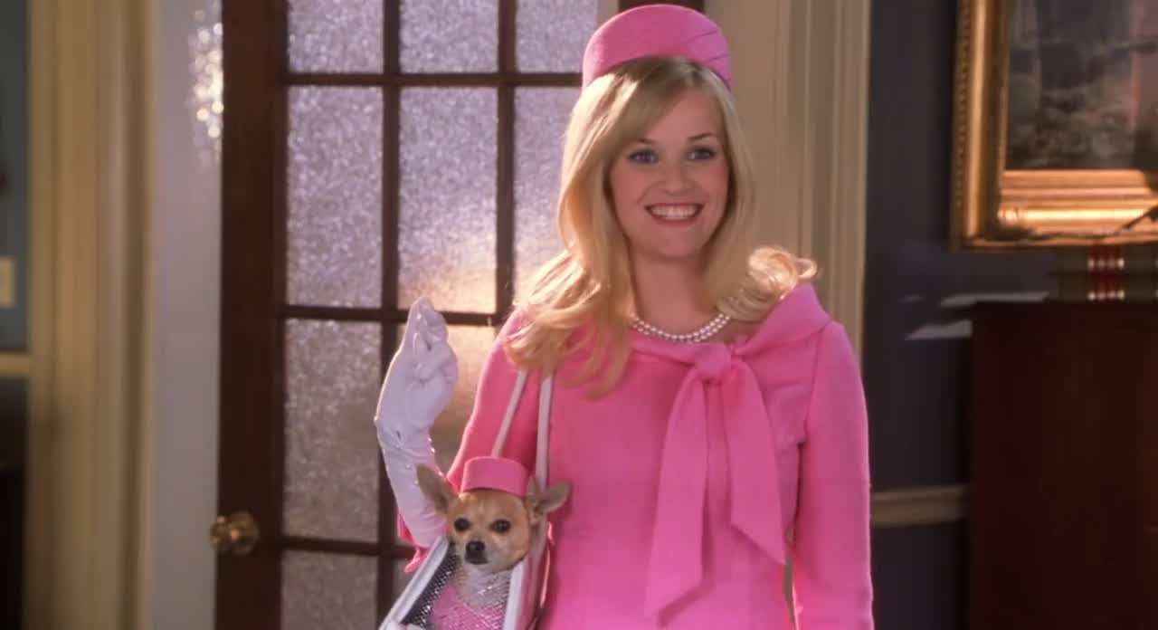 Legally Blonde Prequel
