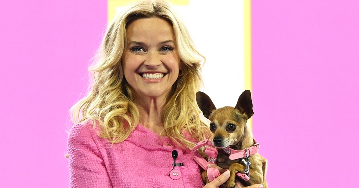 Legally Blonde Prequel